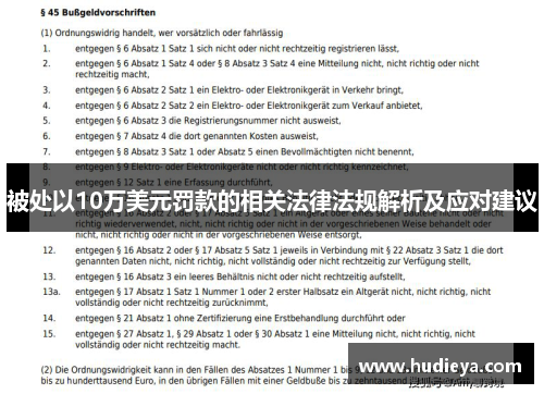 被处以10万美元罚款的相关法律法规解析及应对建议
